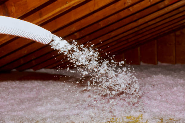 Best Insulation Contractors for Homes  in Ruch, OR